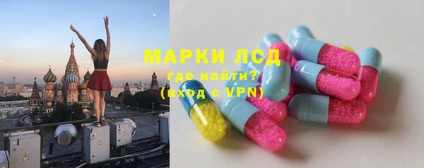 индика Бородино