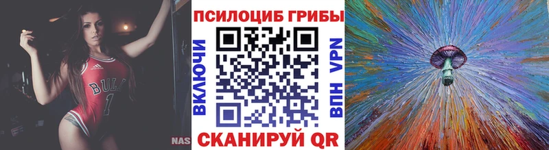 дарк нет как зайти Среднеуральск Галлюциногенные грибы Psilocybine cubensis